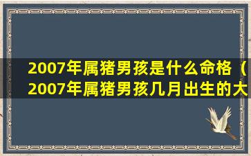 2007年属猪男孩是什么命格（2007年属猪男孩几月出生的大富 🪴 大贵）
